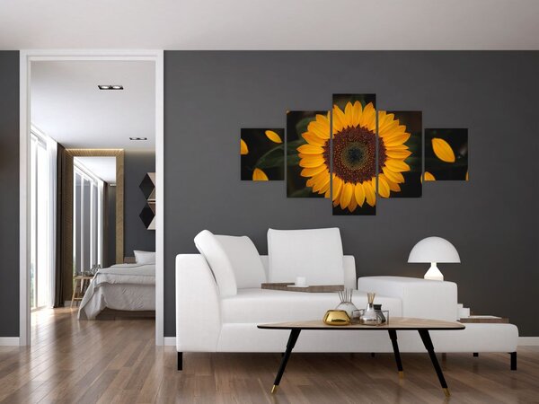 Obraz - Słonecznik i płatki kwiatów (125x70 cm)