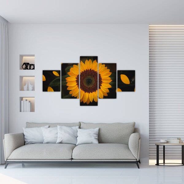 Obraz - Słonecznik i płatki kwiatów (125x70 cm)