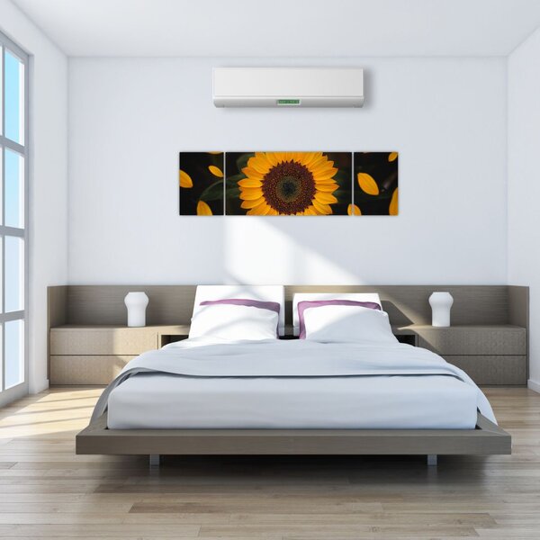 Obraz - Słonecznik i płatki kwiatów (170x50 cm)