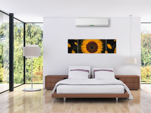 Obraz - Słonecznik i płatki kwiatów (170x50 cm)