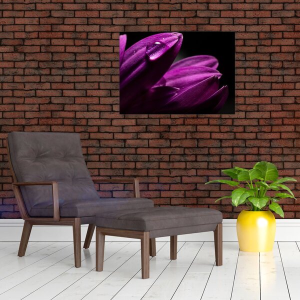 Obraz - Kropla wody (70x50 cm)