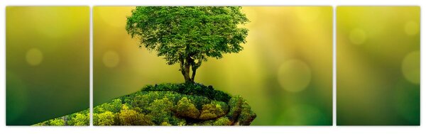 Obraz - Matka ziemia (170x50 cm)