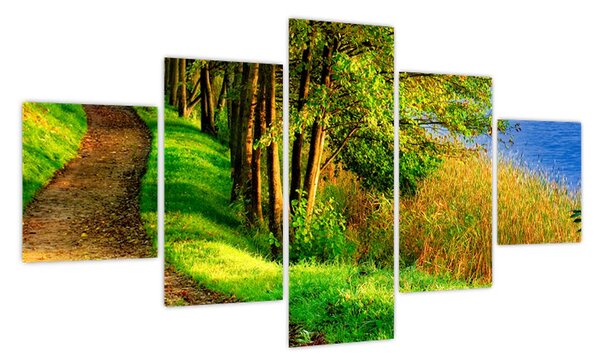 Obraz szlaku wzdłuż wody (125x70 cm)