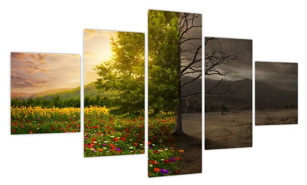 Obraz - Cykl życia (125x70 cm)