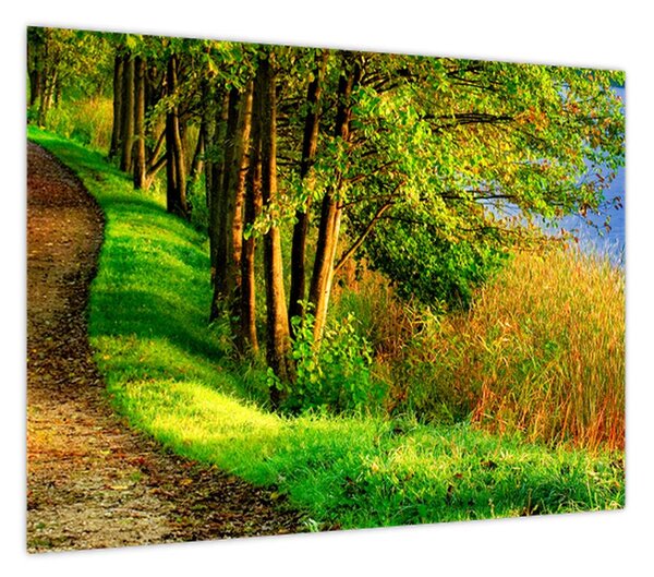 Obraz szlaku wzdłuż wody (70x50 cm)