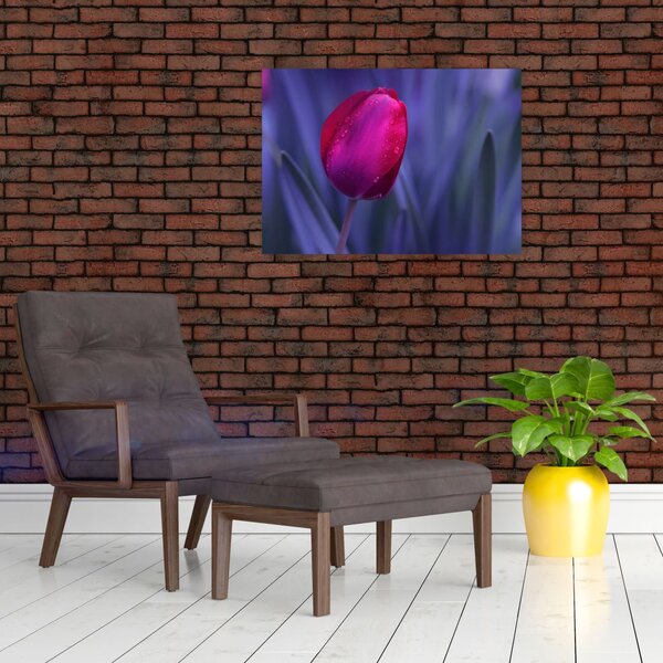 Obraz na szkle pąka tulipana (70x50 cm)