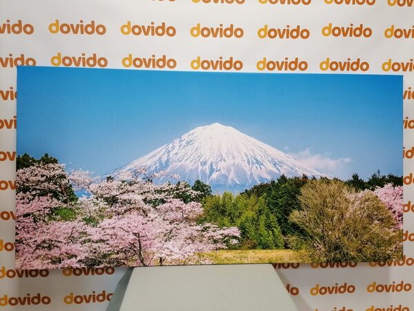 Obraz góra Fuji