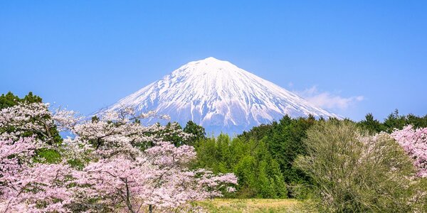 Obraz góra Fuji