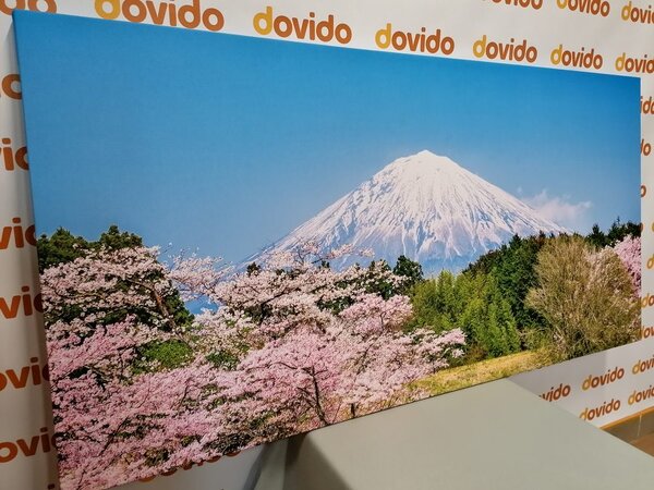 Obraz góra Fuji