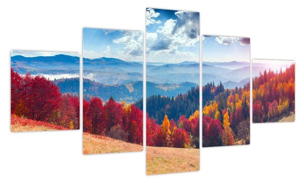 Obraz kolorowego jesiennego krajobrazu (125x70 cm)