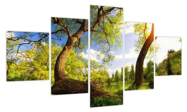 Obraz wiosennej łąki (125x70 cm)
