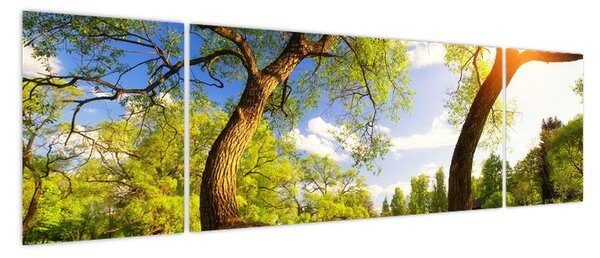 Obraz wiosennej łąki (170x50 cm)