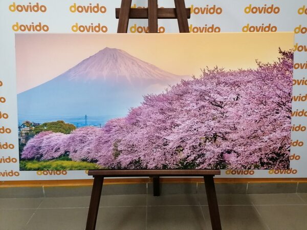 Obraz piękna Japonia