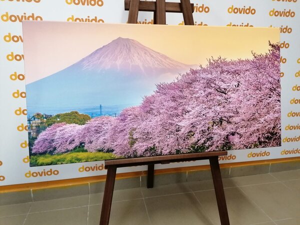 Obraz piękna Japonia