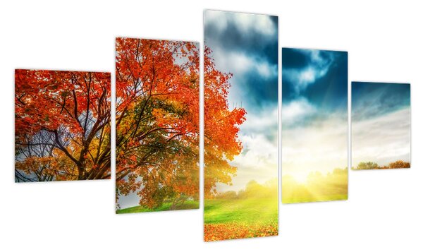 Obraz skąpanego w słońcu krajobrazu (125x70 cm)
