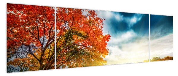 Obraz skąpanego w słońcu krajobrazu (170x50 cm)