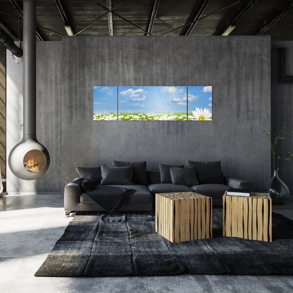 Obraz kwitnącej łąki ze stokrotkami (170x50 cm)