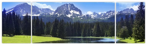 Obraz - Ośnieżone szczyty górskie (170x50 cm)