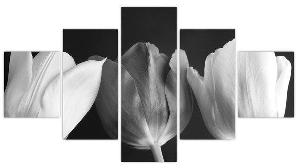 Obraz - Czarno - białe kwiaty tulipanów (125x70 cm)