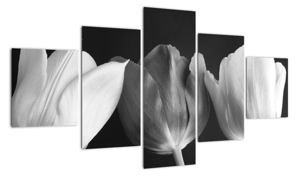 Obraz - Czarno - białe kwiaty tulipanów (125x70 cm)