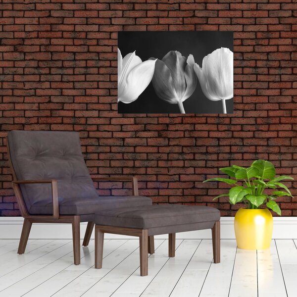 Obraz - Czarno - białe kwiaty tulipanów (70x50 cm)