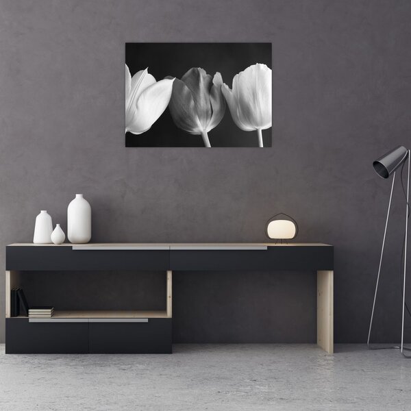 Obraz - Czarno - białe kwiaty tulipanów (70x50 cm)