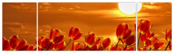 Obraz kwitnącego pola z tulipanami (170x50 cm)