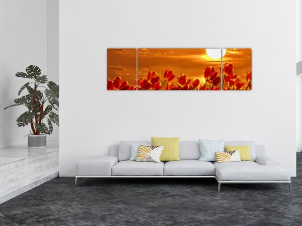 Obraz kwitnącego pola z tulipanami (170x50 cm)