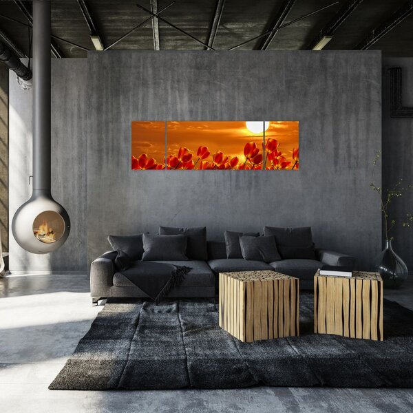 Obraz kwitnącego pola z tulipanami (170x50 cm)