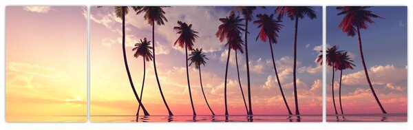 Obraz palm wznoszących się nad powierzchnią (170x50 cm)