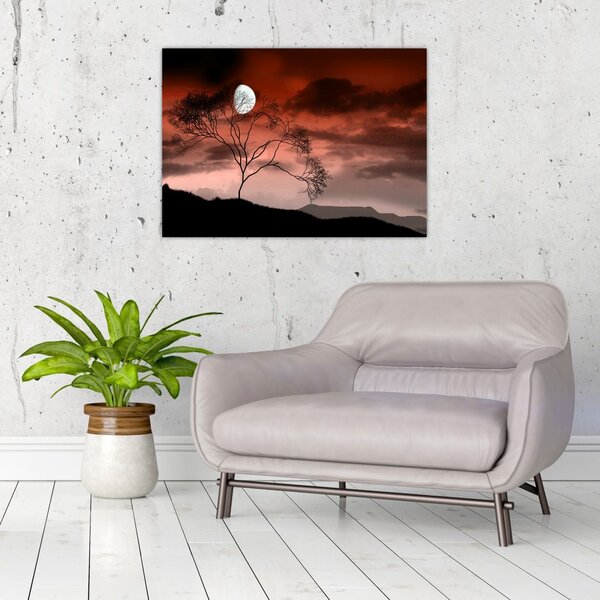 Obraz - Księżyc oświetlający noc (70x50 cm)