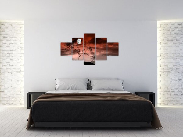 Obraz - Księżyc oświetlający noc (125x70 cm)