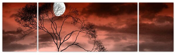 Obraz - Księżyc oświetlający noc (170x50 cm)