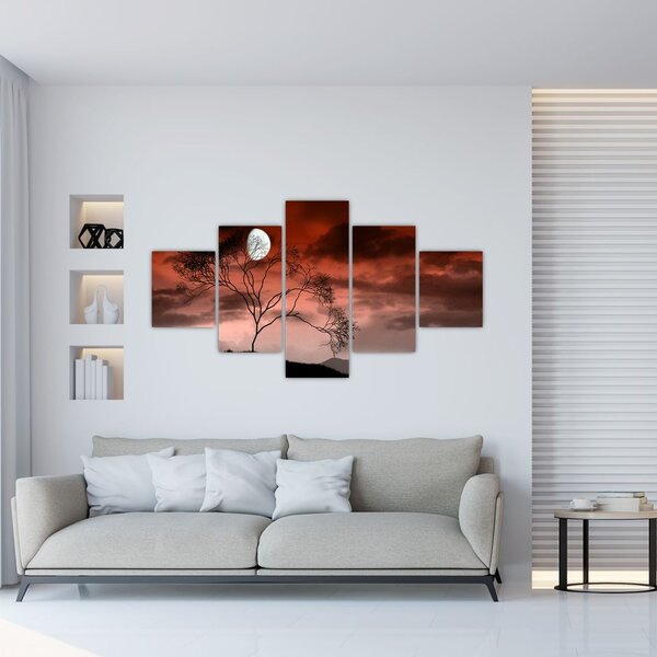 Obraz - Księżyc oświetlający noc (125x70 cm)