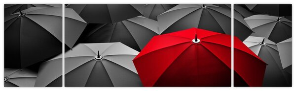 Obraz otwartych parasoli (170x50 cm)
