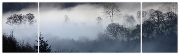 Obraz mgły nad lasem (170x50 cm)