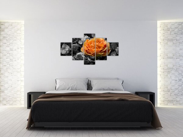 Obraz kwiatu (125x70 cm)