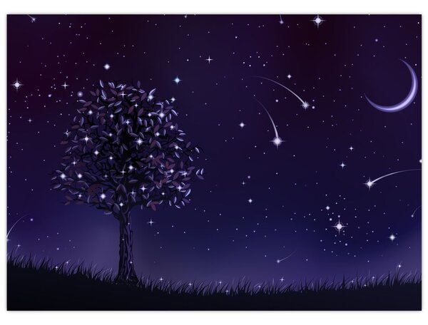 Obraz - Noc uchwycona przez ilustrację (70x50 cm)