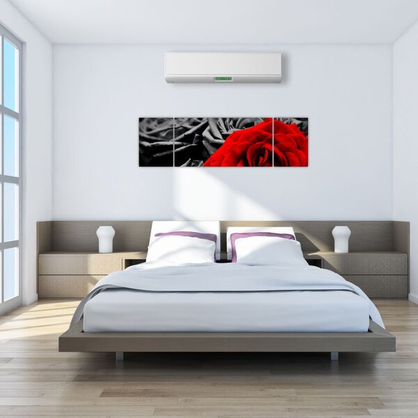 Obraz - Kwiaty róży (170x50 cm)