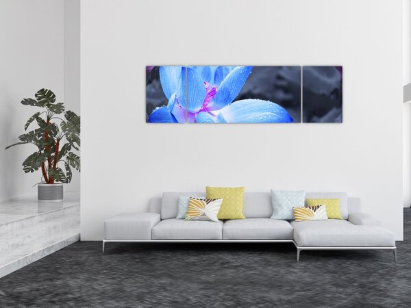 Obraz szczegółu kwiatu (170x50 cm)