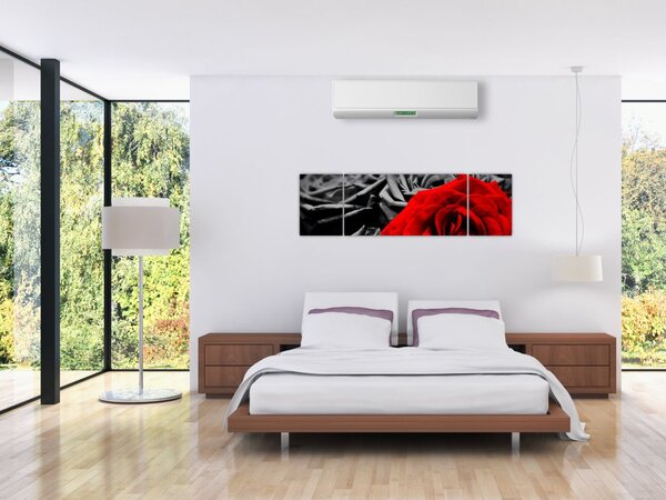 Obraz - Kwiaty róży (170x50 cm)