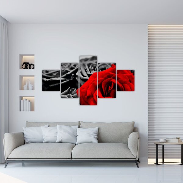 Obraz - Kwiaty róży (125x70 cm)