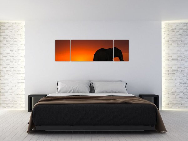 Obraz słonia o zachodzie słońca (170x50 cm)