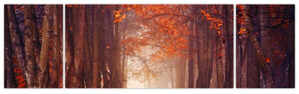 Obraz - Jesienny las (170x50 cm)
