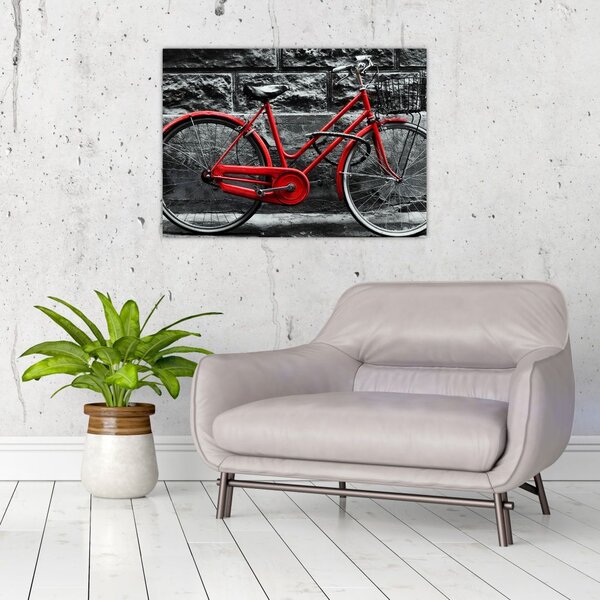 Obraz - Zabytkowy rower (70x50 cm)