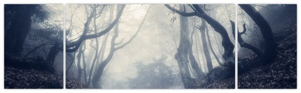 Obraz- Las we mgle (170x50 cm)