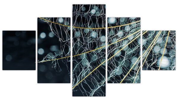 Obraz - Kwiat z pajęczyną (125x70 cm)