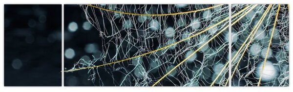 Obraz - Kwiat z pajęczyną (170x50 cm)