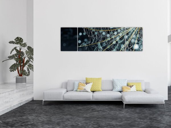 Obraz - Kwiat z pajęczyną (170x50 cm)