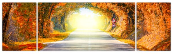 Obraz - Brama wykonana z koron drzew (170x50 cm)